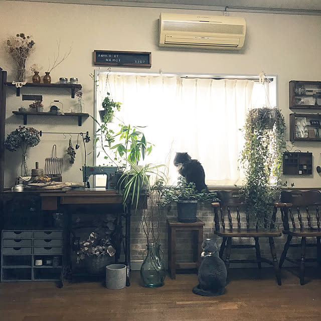 mucc08さんの実例写真