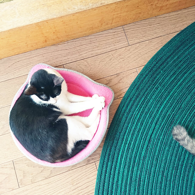 uchizukonyanさんの実例写真