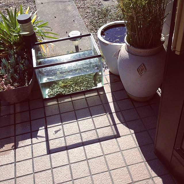 kaOriさんの実例写真