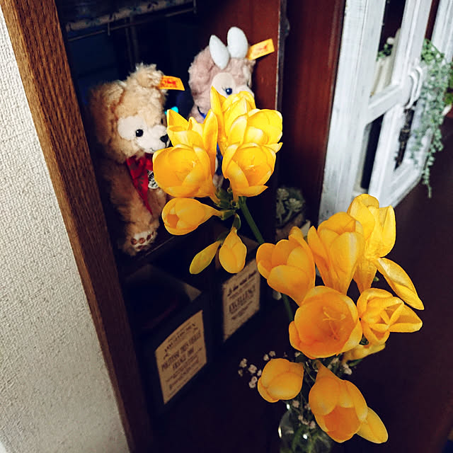 todorinkoさんの実例写真