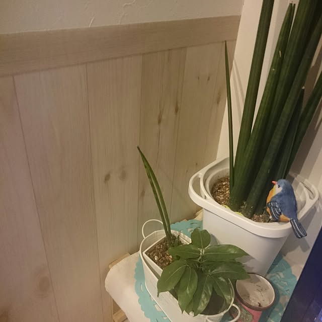 yukixx328さんの実例写真