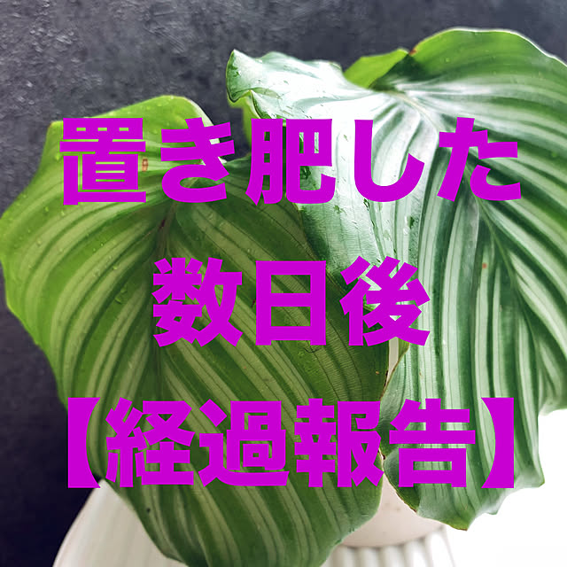 moonさんの実例写真
