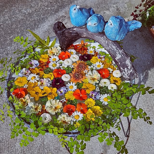 mocomocoさんの実例写真