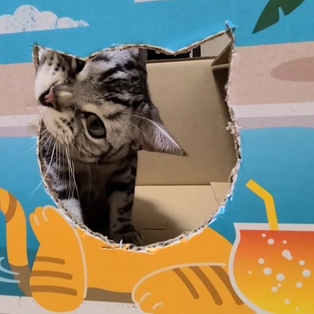 lovepeaceさんの実例写真