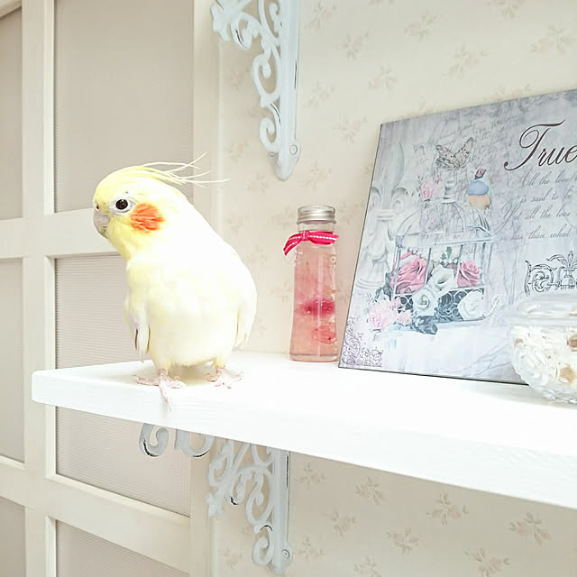 fleur-mamanさんの実例写真