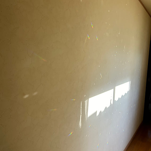 prelumoさんの部屋