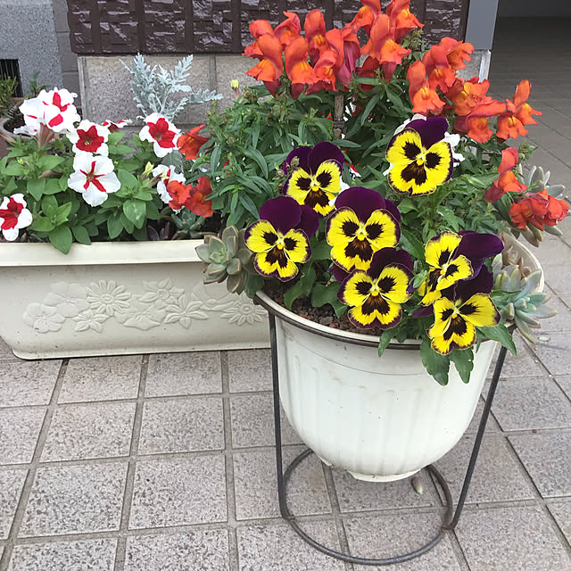 Yukityannさんの実例写真