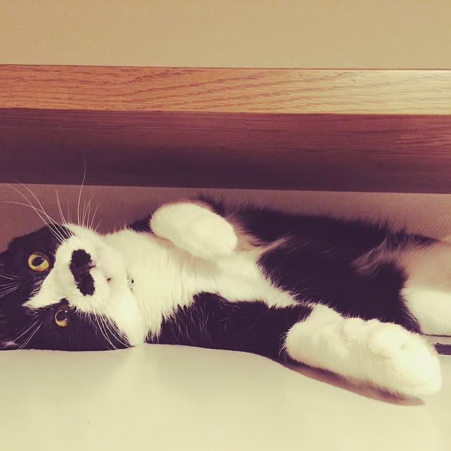Marikoさんの実例写真
