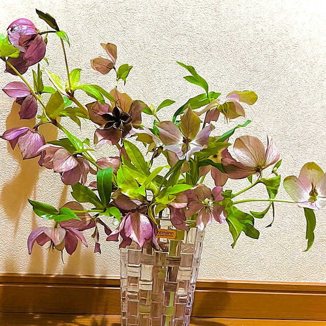 kaochanさんの実例写真
