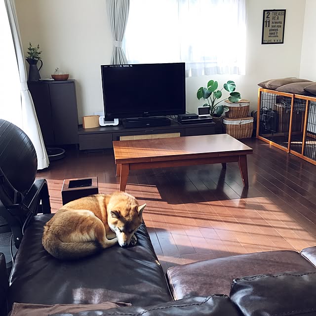 Gingaさんの実例写真