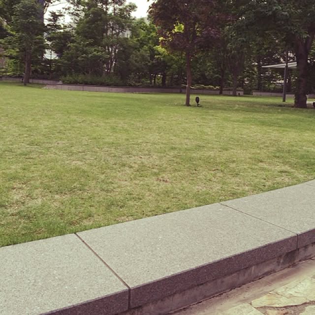 mASaYoukiさんの実例写真