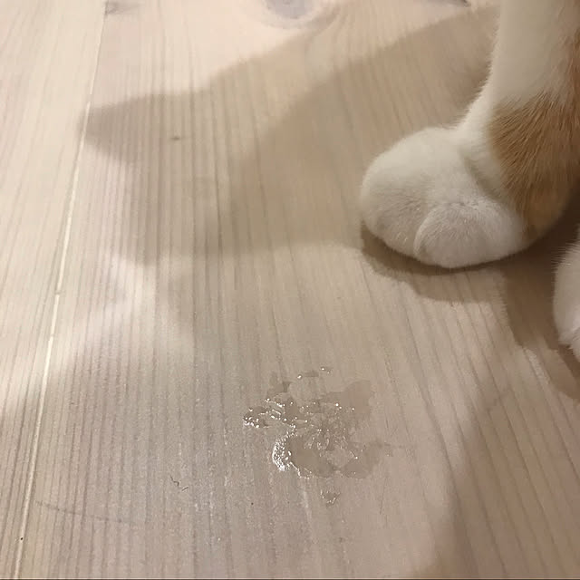 sakuraさんの実例写真
