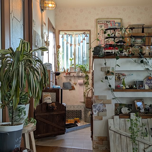 akiさんの実例写真