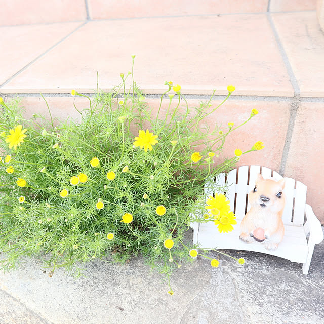 S.homeさんの実例写真