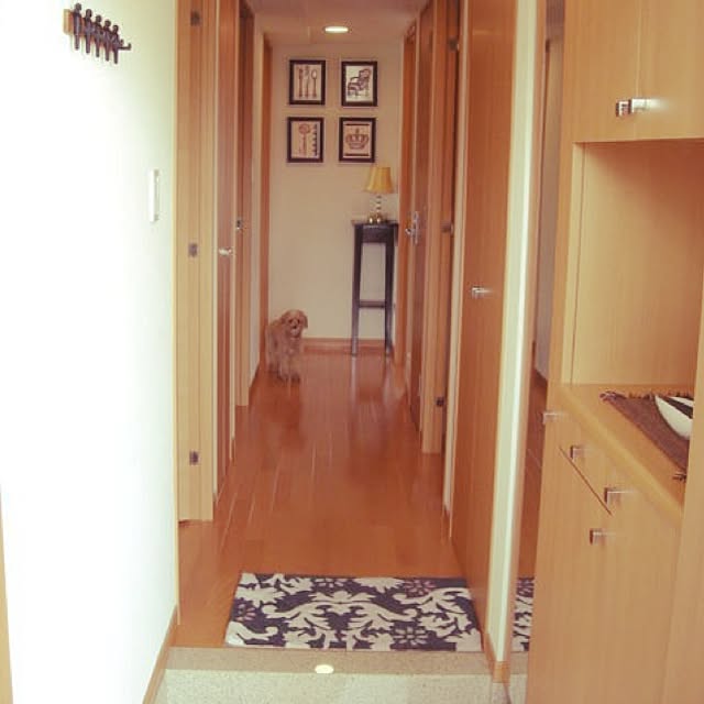 実例写真