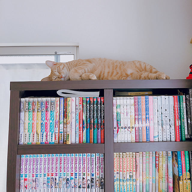 kinokoさんの実例写真