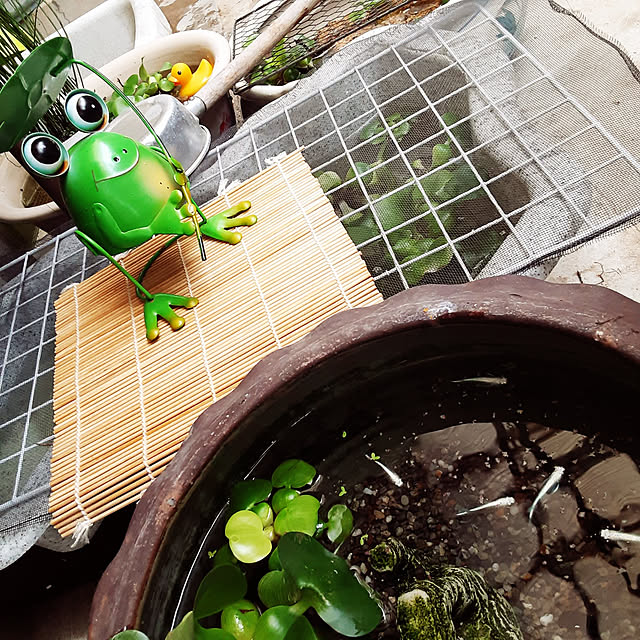katさんの実例写真