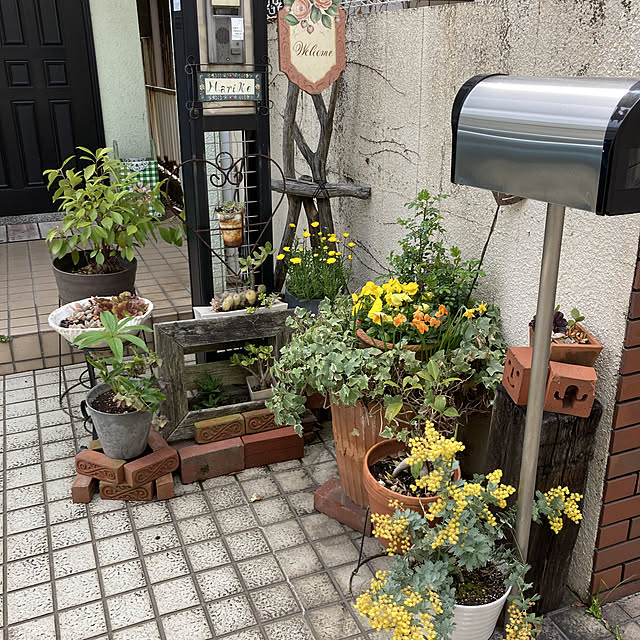 gopurinさんの実例写真