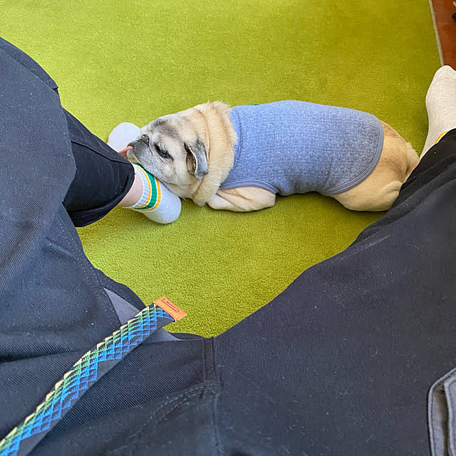 kellyさんの実例写真