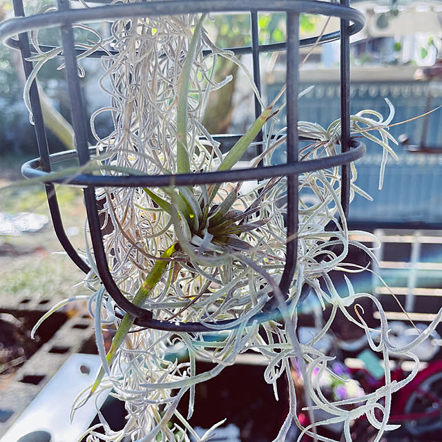 mayumiさんの実例写真