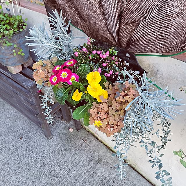 mocomocoさんの部屋