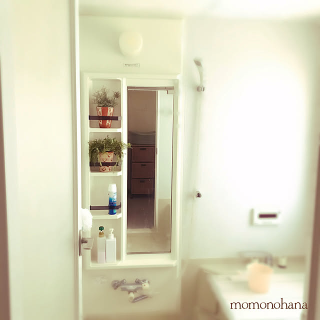 momonohanaさんの実例写真