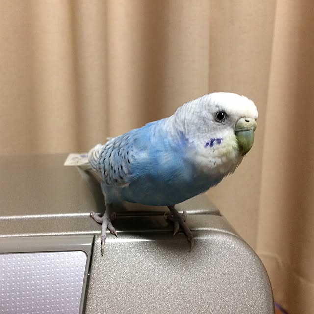 yukikoさんの実例写真