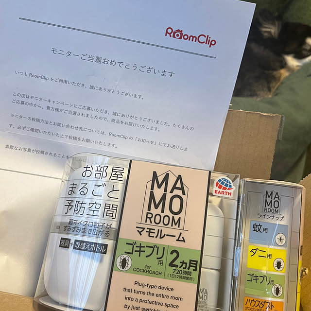 beさんの実例写真