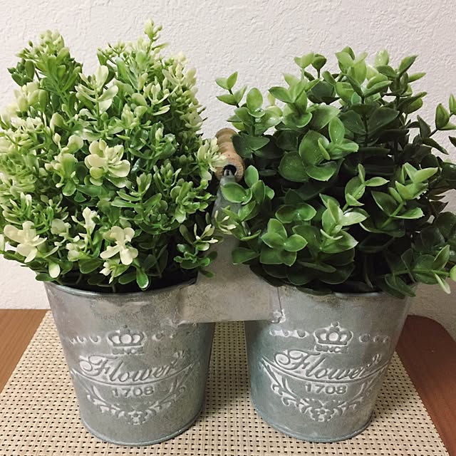 shinoさんの実例写真