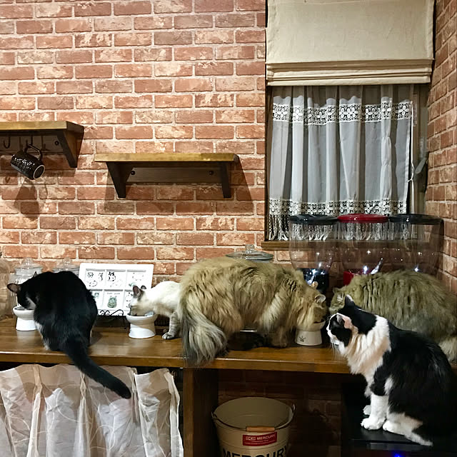 butachanさんの実例写真