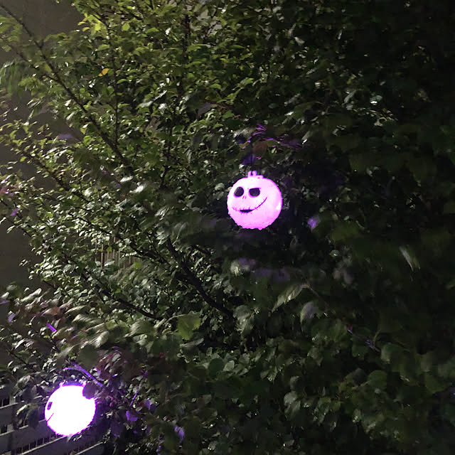 yunさんの実例写真
