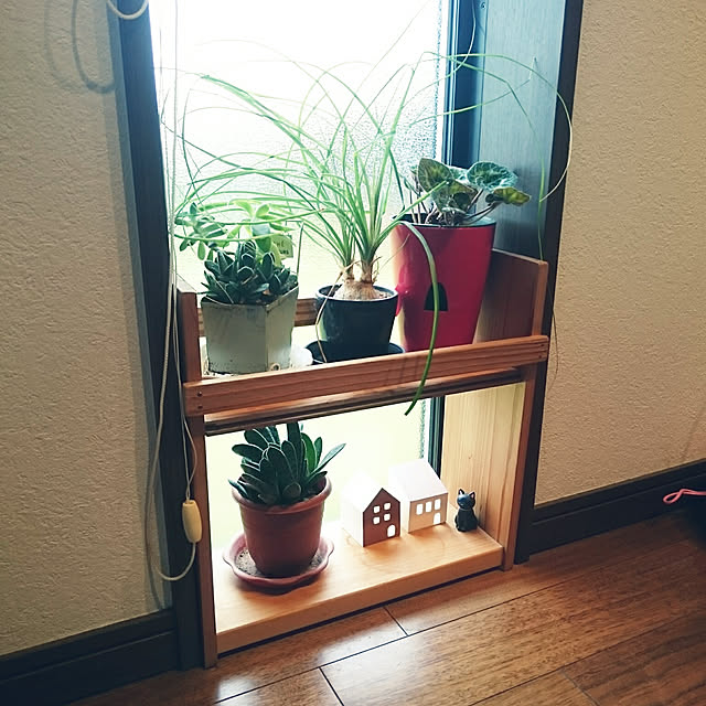 tomo5さんの実例写真