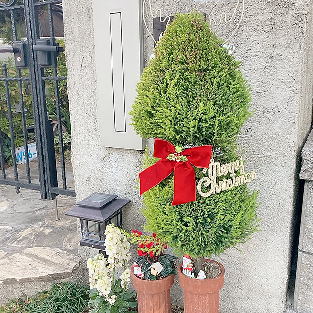 norikoko310さんの実例写真