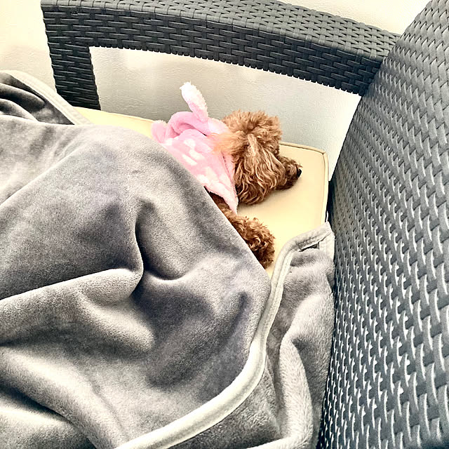 MOMOMAMAさんの部屋