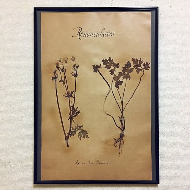 JUNKさんの実例写真