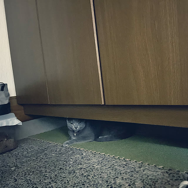 kyonさんの実例写真