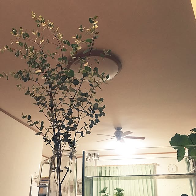863さんの実例写真