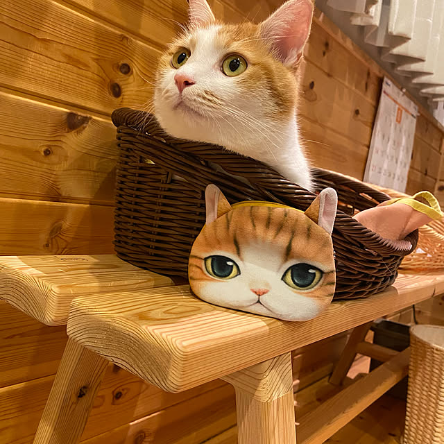 senbei.sakuramochiさんの実例写真