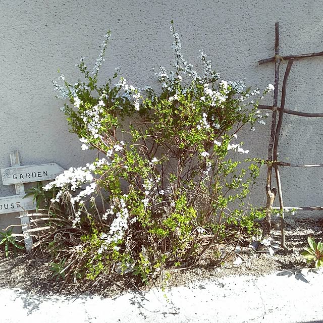 naranaraさんの実例写真