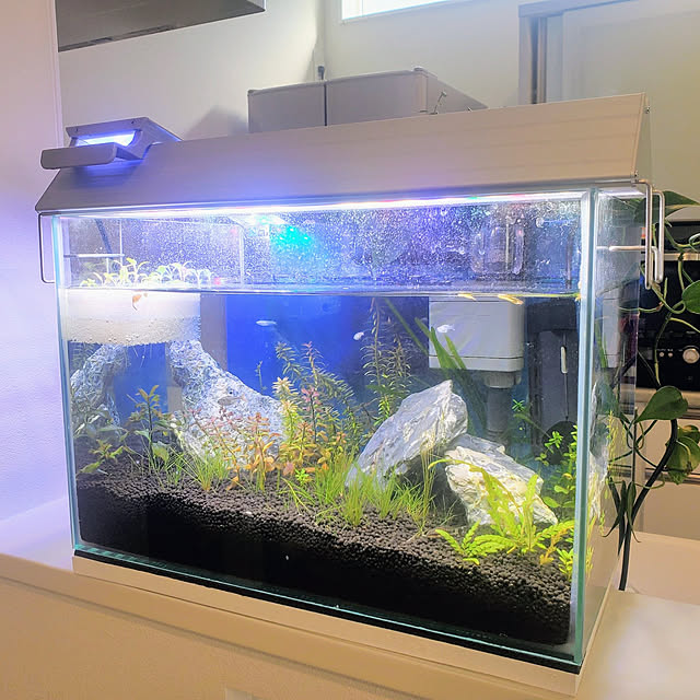 アクアリウム 45cm水槽のおすすめ商品とおしゃれな実例 アクアリウム 45cm水槽のおすすめ商品とおしゃれな実例