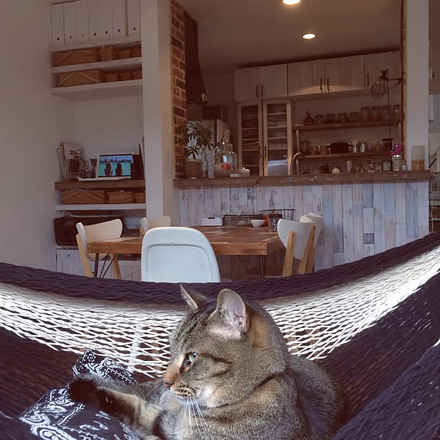 go_slow_and_smileさんの実例写真