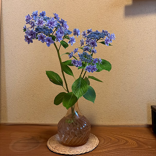 mozukuさんの実例写真