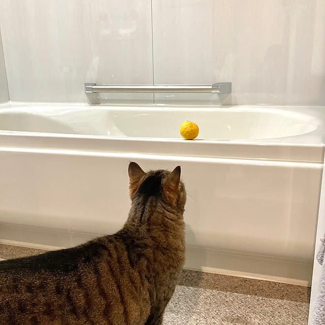 kirinsanさんの部屋