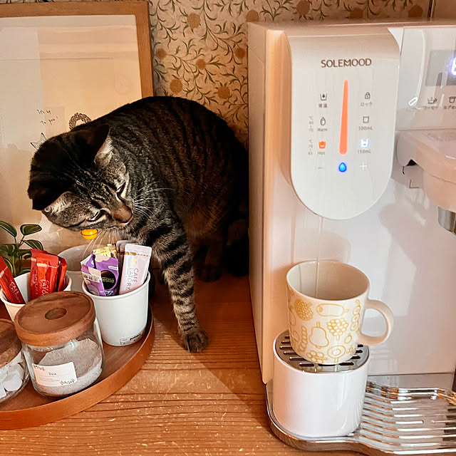 puu.tuuliさんの部屋
