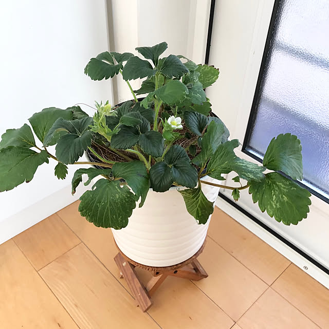 azureさんの実例写真