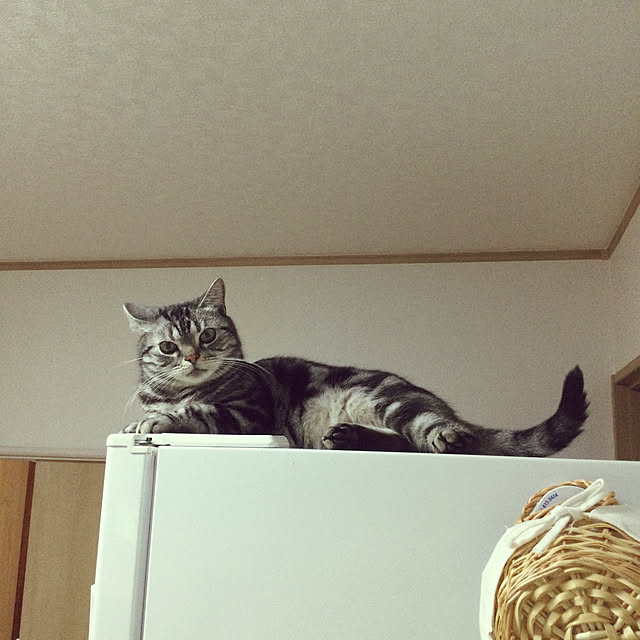 richanさんの実例写真