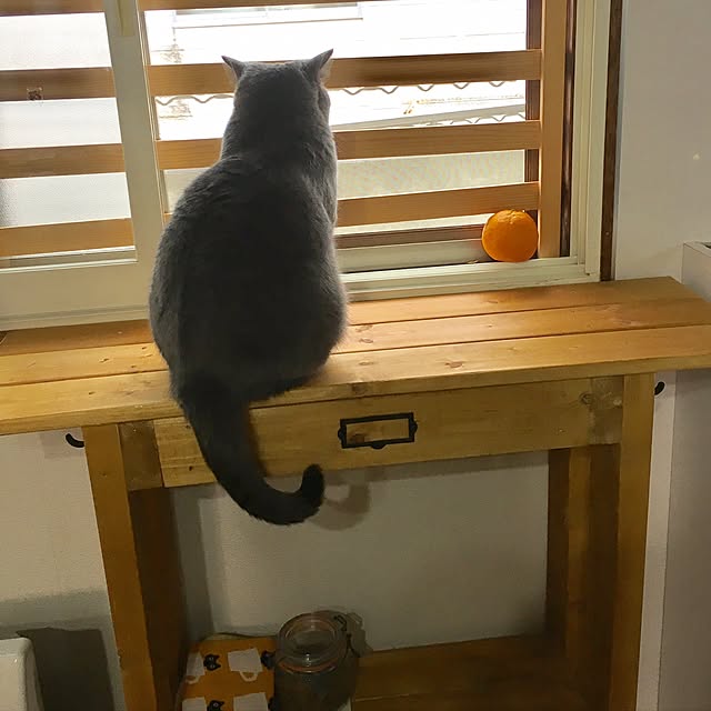 pochacoさんの実例写真