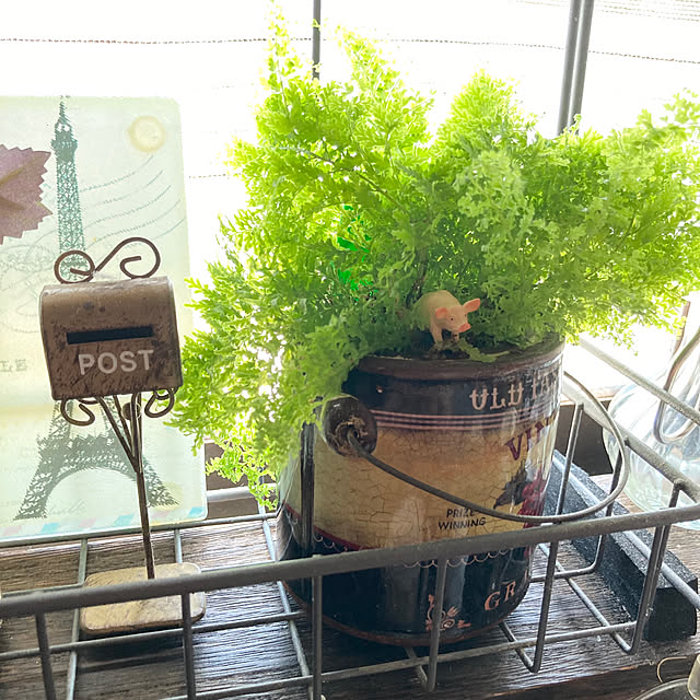 GowBooさんの部屋