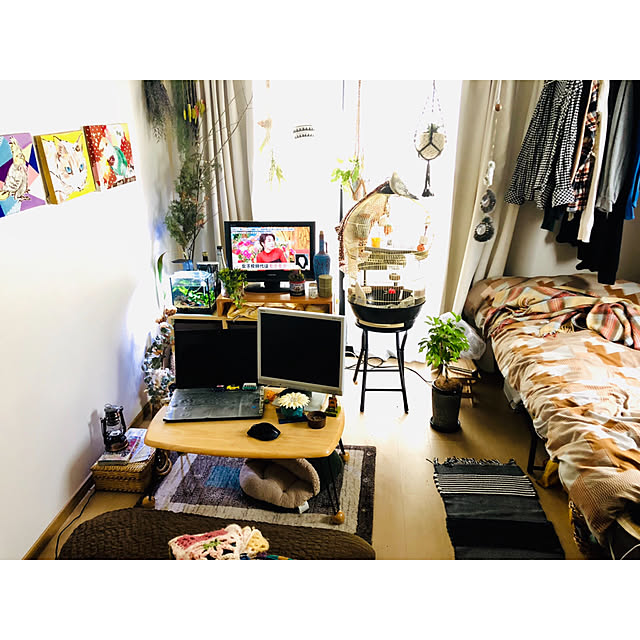 parrotさんの実例写真