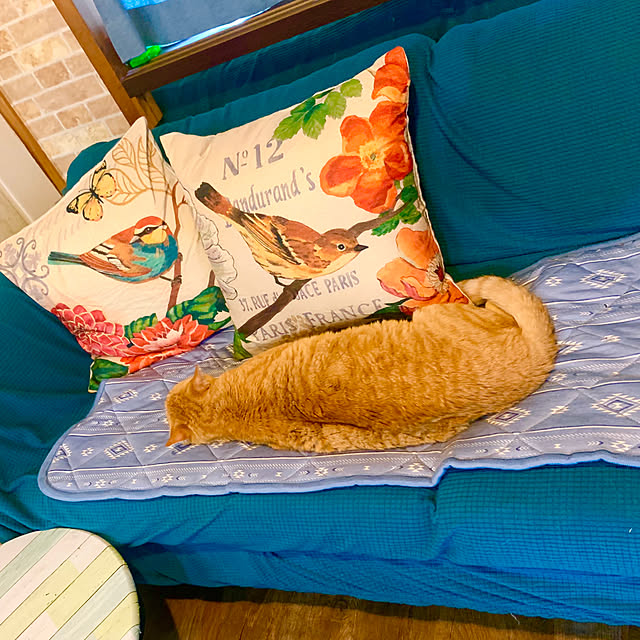 tututu0204さんの部屋